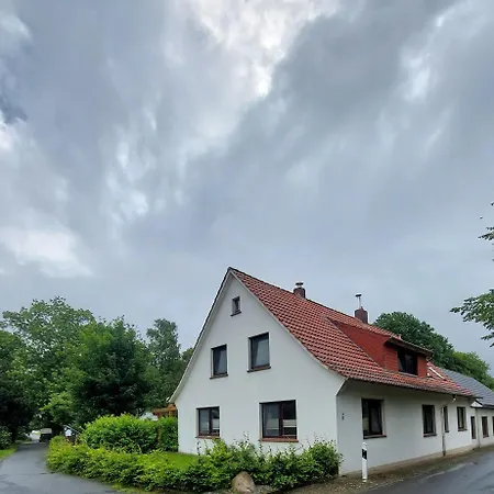 Buchholz * Бурхафе