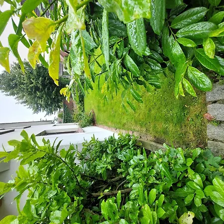 Апартаменты Buchholz Бурхафе